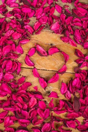 Floral made of dried flower petalsの写真素材
