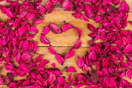 Floral background made of dried flower petalsの写真素材