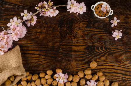 Still life with almonds and blooming branchesの写真素材