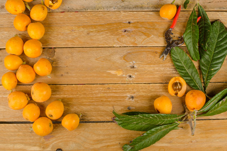 Still life with  some freshly picked loquatsの写真素材