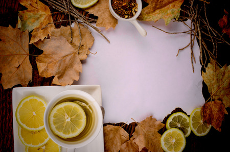 Rooibos tea with lemon in an autumn settingの写真素材
