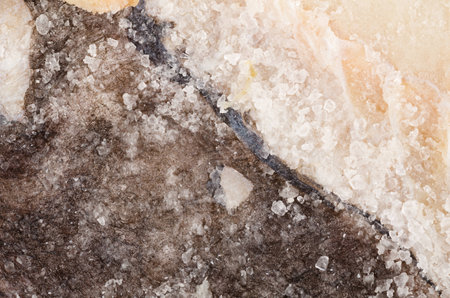 Full frame detail take of  salt preserved codの写真素材