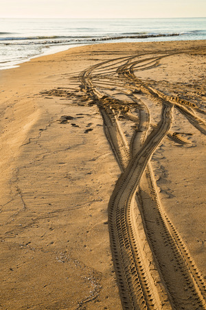 Crisscrossed tyre tracks on a sandy beachの写真素材