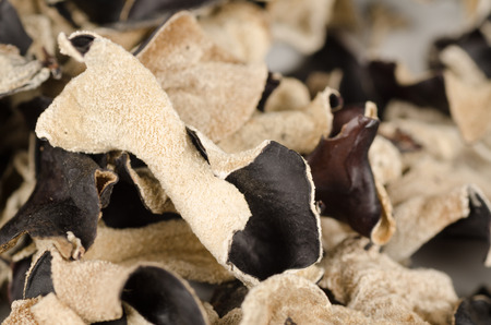 Heap of dehydrated Jews Ear mushrooms, Asian cuisine ingredientの写真素材