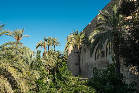 Elche old town, its river and palm tree parksの写真素材