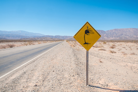 Andean road with a sign warning of strong lateral windsの写真素材