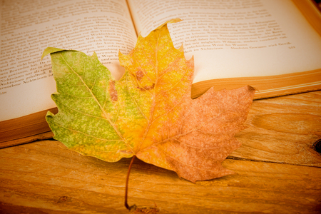 Still life depicting cosy autumn indoor lifeの写真素材