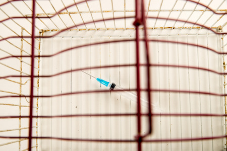 Syringe inside a cage, a conceptual shot on drug addiction and abuseの写真素材