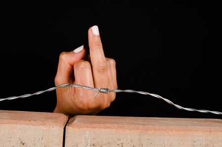 Flipping the bird on walls and borders, a conceptの写真素材