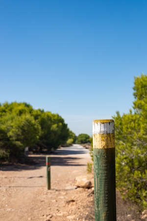 Wooden hiking trail signpost against the background of the trail