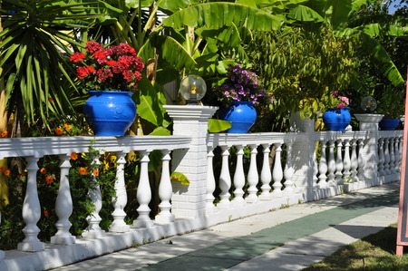vase on the fenceの写真素材