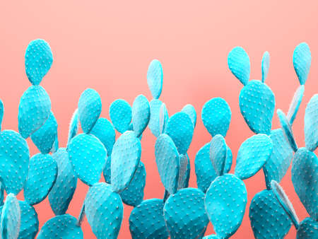 Cactus pastel colored art gallery Style. Creative cacti concept. 3D reenderingの写真素材