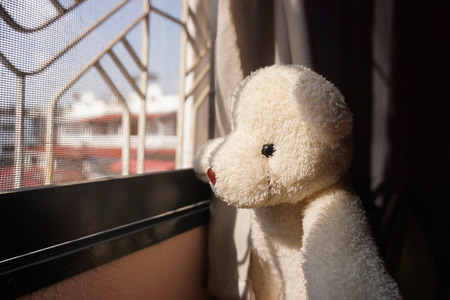 Lonely  bear Looking through the window in afternoon timeの写真素材