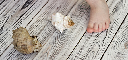 Childs foot and seashells, white wooden backgroundの写真素材