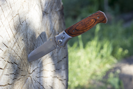 Folding knife stuck in a wooden log, close-up, steelの写真素材