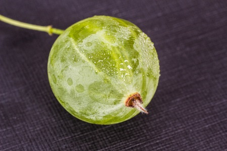 Green berry of a gooseberry on a black background, macro photography, natural
