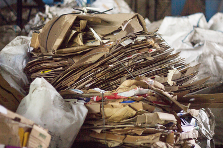 sorting of rubbish, cardboard, close-up, litter environmental materialの写真素材