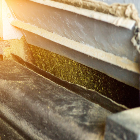 Production of rapeseed oil, grinding of oilseed rape on production equipment, industry, rape seed processing, colza milling, close-up, biodiesel productionの写真素材