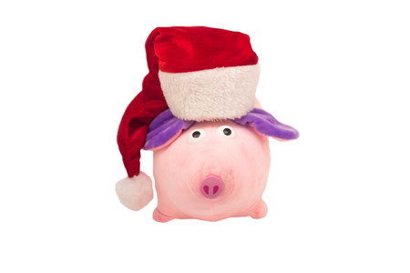 Soft toy New Year's pig in a red Santa Claus hat on a white background, isolate, close-up, New Year of the Pig 2019, Christmas, celebrationの写真素材