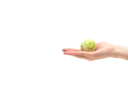 female hand on a white background holding a small head of cabbage on the palm, diet, vegetarianism, proper nutrition, isolate, concept, copy space, styleの写真素材