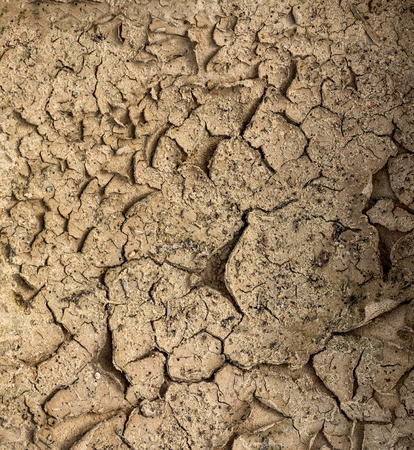 Brown texture of cracked earth in the desert on the background, background, close-up, patternの写真素材