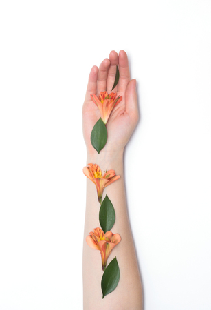 beautiful female hand on a white background with petals and flowers of orange hibiscus, makeup, cosmetologyの写真素材