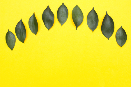 Yellow background layout of green petals of flowers, copy space, decoration, congratulationの写真素材