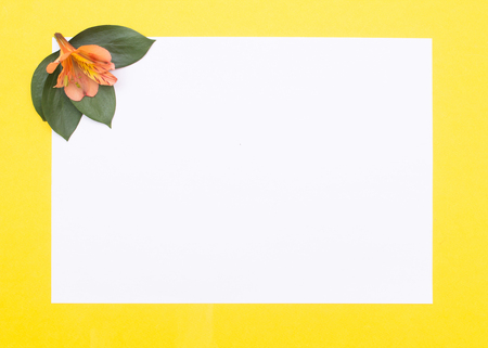 Blank white paper on a yellow background with petals and orange hibiscus flowers, greeting card mockup, copy spaceの写真素材