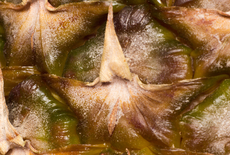 Fresh pineapple texture, macro background ananasの写真素材