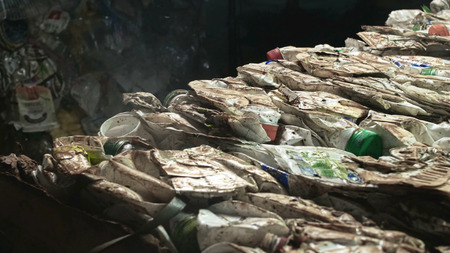 flies fly over household waste, environmental pollutionの写真素材