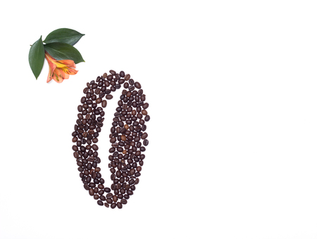 Lined coffee beans from small coffee beans and an orange hibiscus flower on a white background, copy space, morningの写真素材