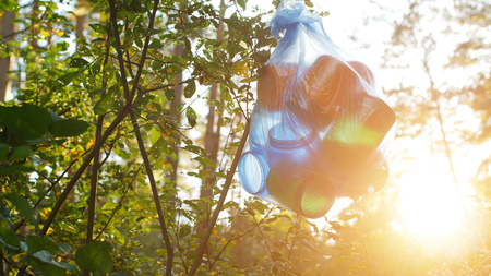 In the forest reserve there is a package with garbage on the background of the sun, ecology, garbage...