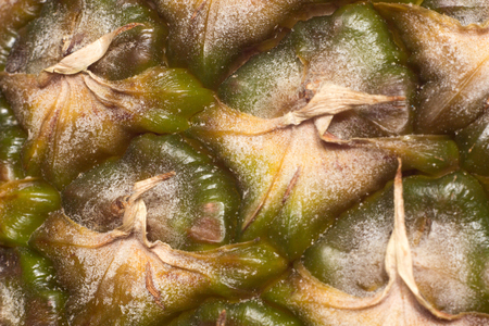 Fresh pineapple texture, macro backgroundの写真素材