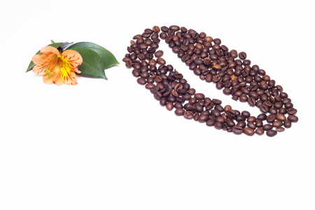 Lined coffee beans from small coffee beans and an orange hibiscus flower on a white background, copy spaceの写真素材