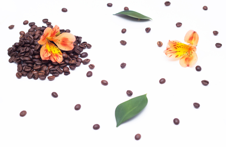 coffee grains and orange hibiscus flower on a white background, organicの写真素材