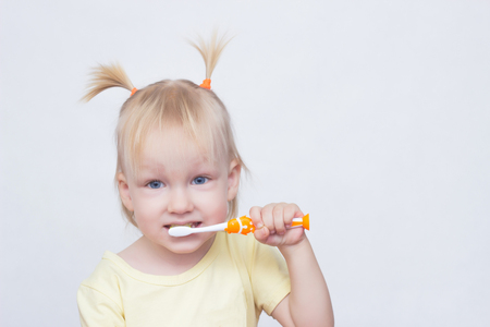 Little girl 2 years old with pigtails on her hair brushes her teeth and looks into the camera, copy space, portraitの写真素材