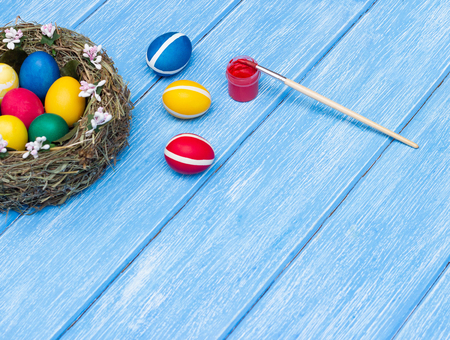 A nest with colorful chicken Easter eggs lay in a nest on a wooden blue background beside a paint brush to paint eggs, a tradition at Easter, copy spaceの写真素材