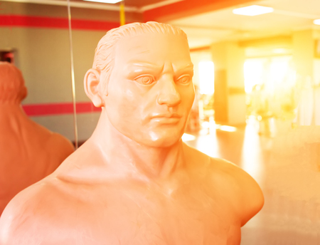 dummy for boxing and practicing punches in martial arts in the gymnasium against the backdrop of a sunsetの写真素材
