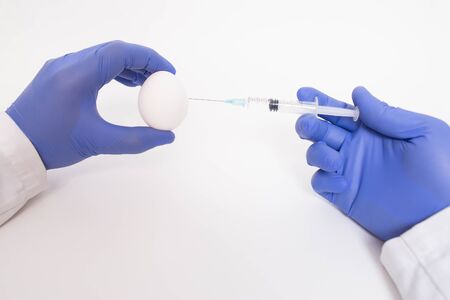 Plastic surgeon doctor injects  into the egg concept of injections to men in the intimate area and scrotum to smooth out wrinkles and give volume and size to the testicles, intimate plastic surgery, youthfulnessの写真素材