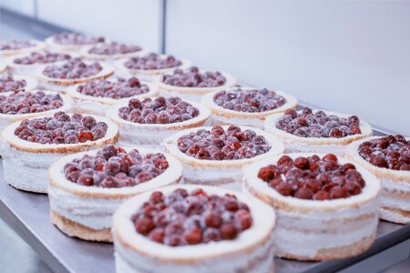Confectionery production for the manufacture of sponge cakes with fresh cherry berries and cream, dessert.の写真素材