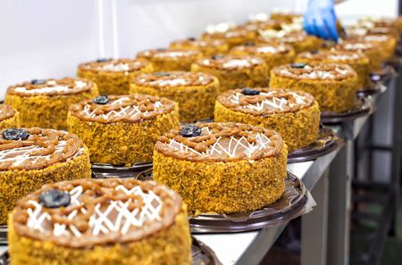 Making biscuit cakes with condensed milk and prunes for confectionery production. Food industry, dessert, torte, deliciousの写真素材