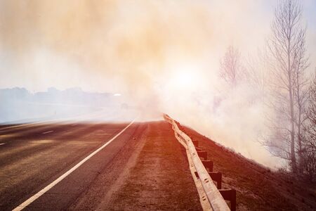 road in the smoke from forest fires on the background of the forest, problem