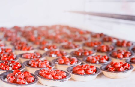 Many beautiful and delicious cakes in a tartlet with fresh cherry berries and chocolate, background. Summer dessert, sweetの写真素材