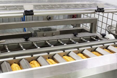 Automatic modern custard cake line with cream and boiled condensed milk. Confectionery manufacturing sweets, dessertの写真素材