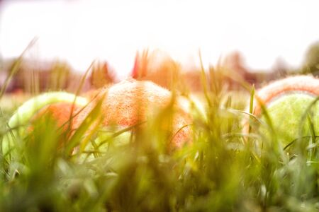 A lot of tennis balls on the tennis court on the grass, background, sportの写真素材