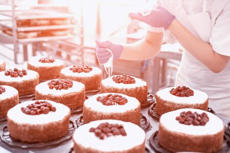Pastry chef girl makes a cake from fresh biscuit berries and cream. Mass production of cakes and sweets, confectionery factoryの写真素材