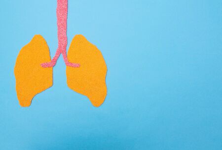 Human lungs on a blue background. Human lung transplant concept, diseases, pneumonia, lung cancer,...