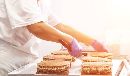 Making sponge cakes with cream at a confectionery factory. Cook decorates cake with cream, sweet...