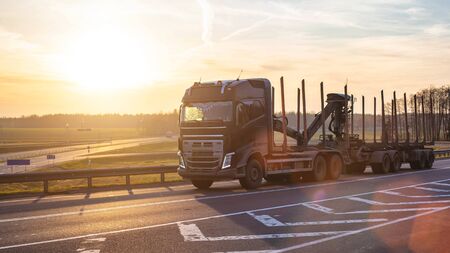 Modern stylish and reliable timber truck with a manipulator rides on the highway against the sunsetの写真素材