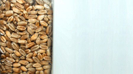 Grain processing at the plant. Drying and storage concept for bread grain, copy space for text, technologyの写真素材